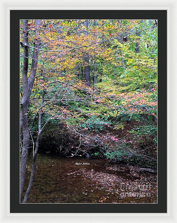 Framed Print - Dream Woods In Georgia