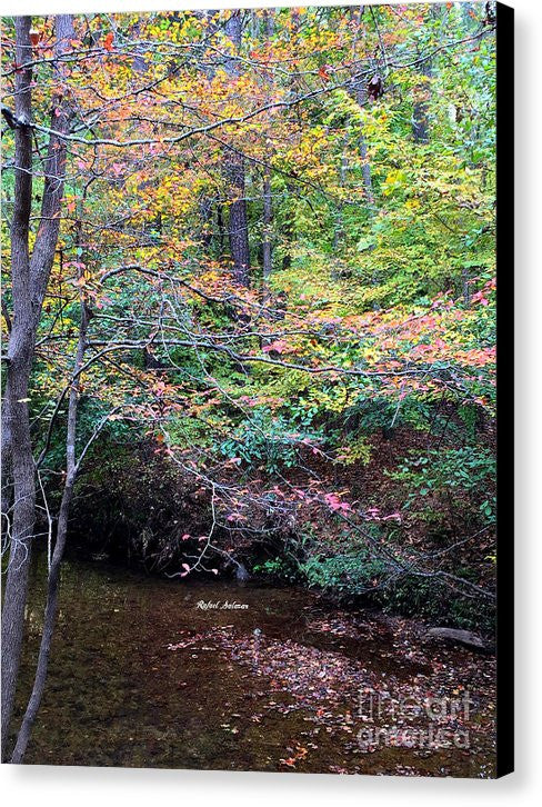 Impression sur toile - Forêts de rêve en Géorgie