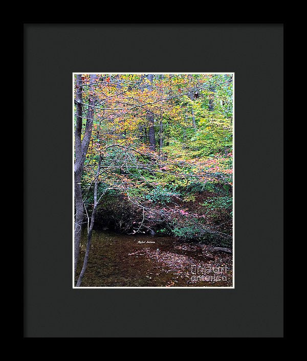 Framed Print - Dream Woods In Georgia