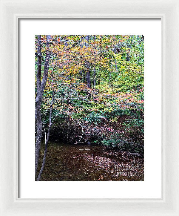 Framed Print - Dream Woods In Georgia