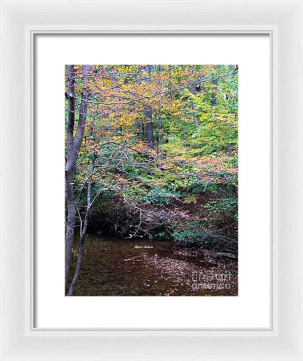 Framed Print - Dream Woods In Georgia