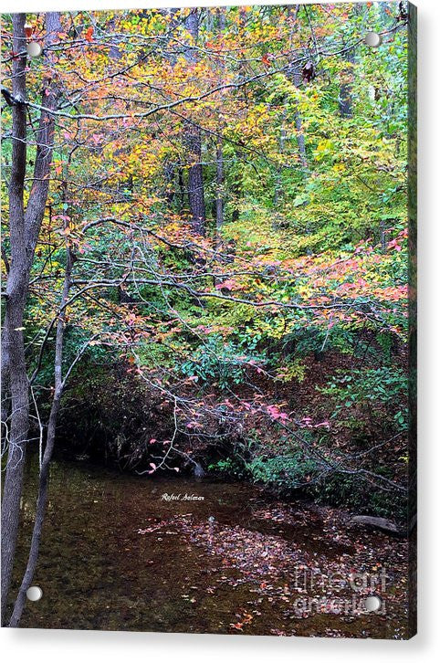 Impression acrylique - Forêts de rêve en Géorgie