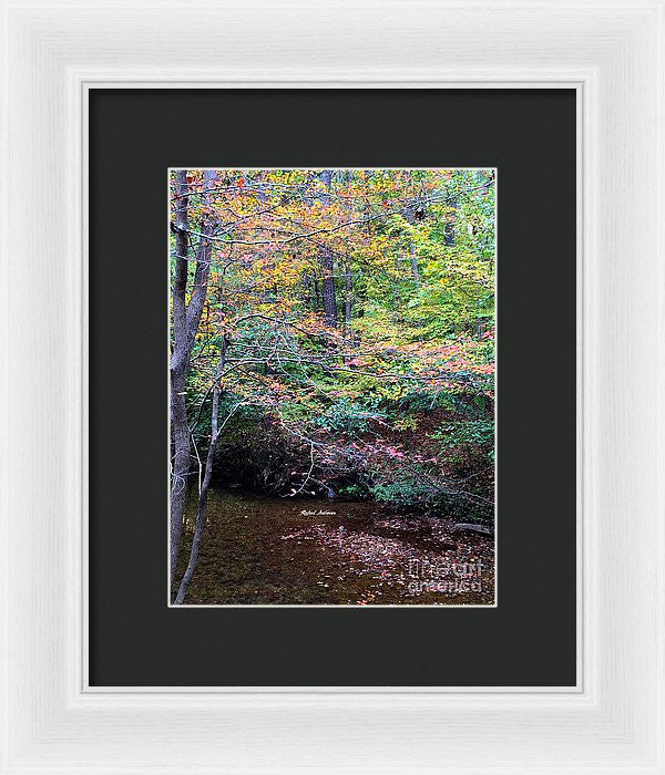 Framed Print - Dream Woods In Georgia