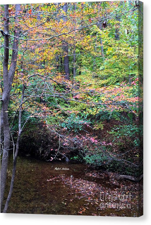 Impression sur toile - Forêts de rêve en Géorgie