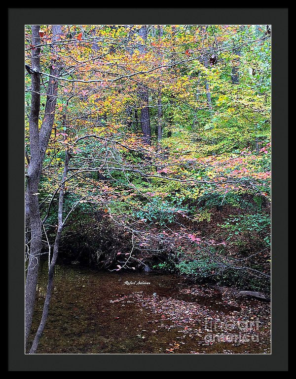 Framed Print - Dream Woods In Georgia