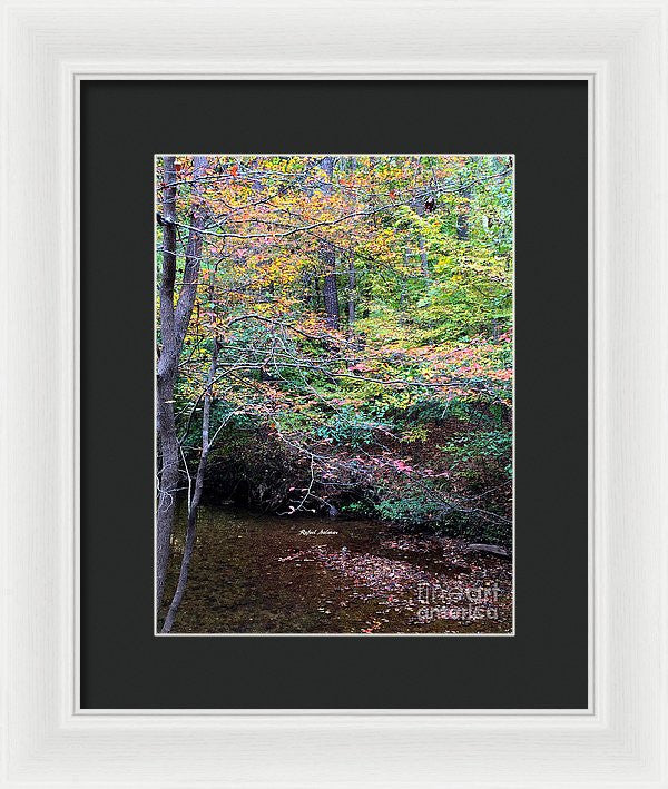 Framed Print - Dream Woods In Georgia