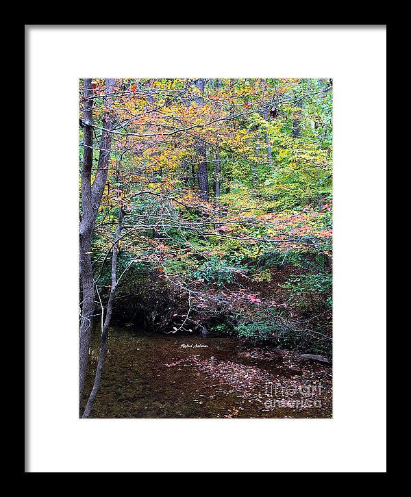 Framed Print - Dream Woods In Georgia