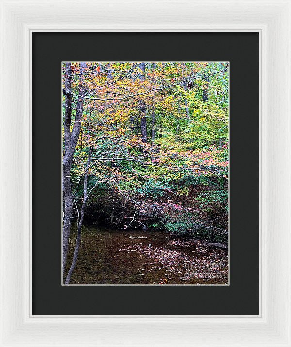 Framed Print - Dream Woods In Georgia