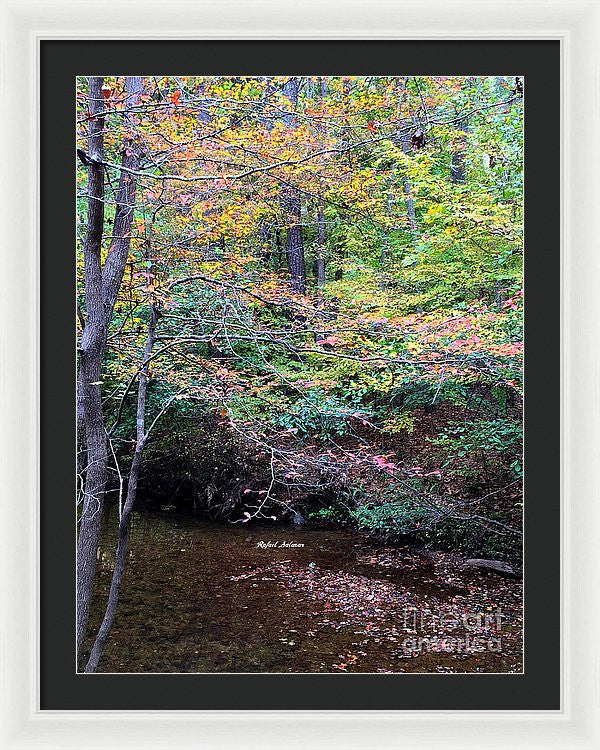 Framed Print - Dream Woods In Georgia