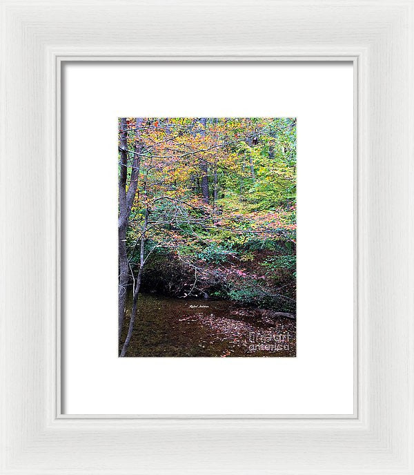 Framed Print - Dream Woods In Georgia