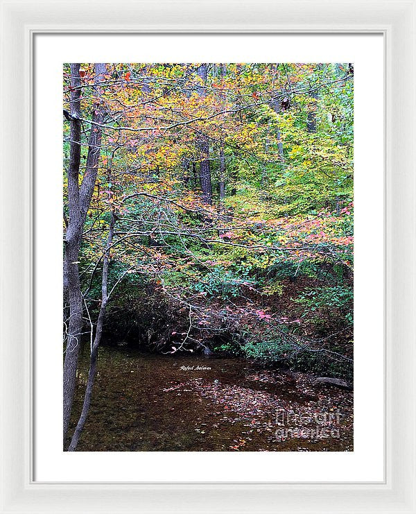 Framed Print - Dream Woods In Georgia