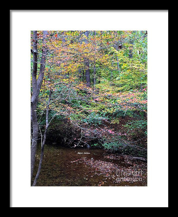 Framed Print - Dream Woods In Georgia