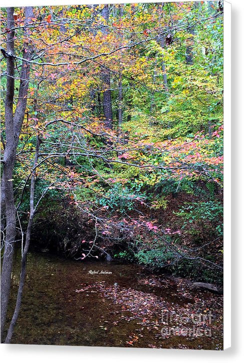 Impression sur toile - Forêts de rêve en Géorgie