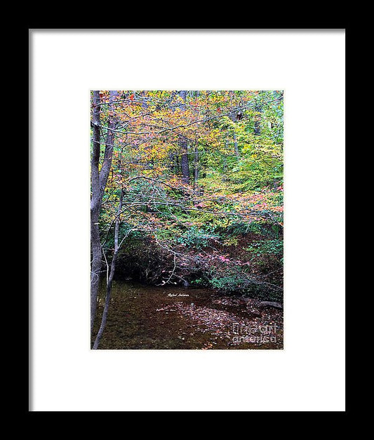 Framed Print - Dream Woods In Georgia