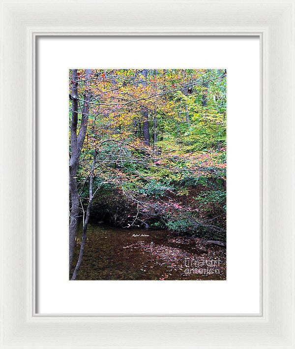 Framed Print - Dream Woods In Georgia