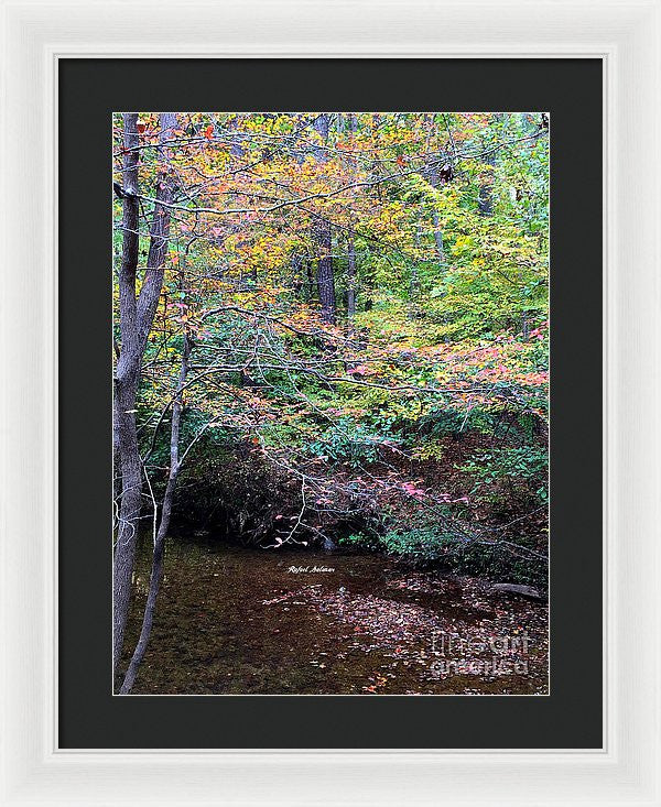 Framed Print - Dream Woods In Georgia