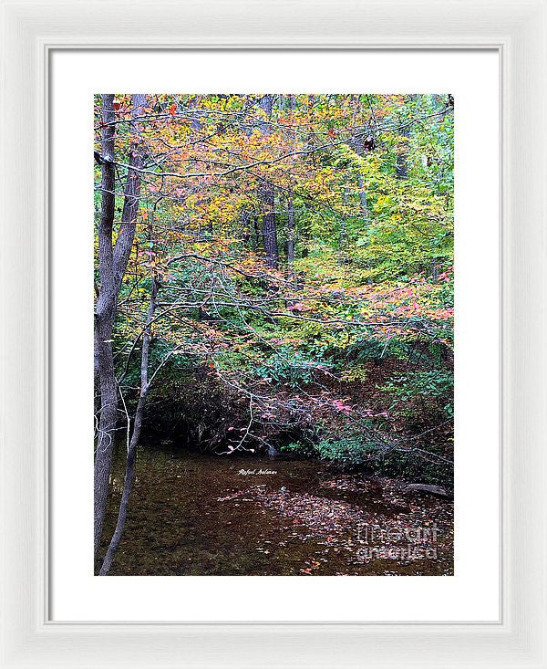 Framed Print - Dream Woods In Georgia