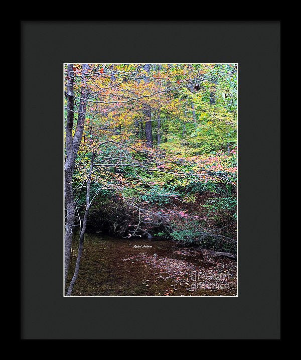 Framed Print - Dream Woods In Georgia