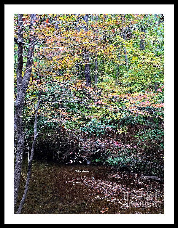 Framed Print - Dream Woods In Georgia