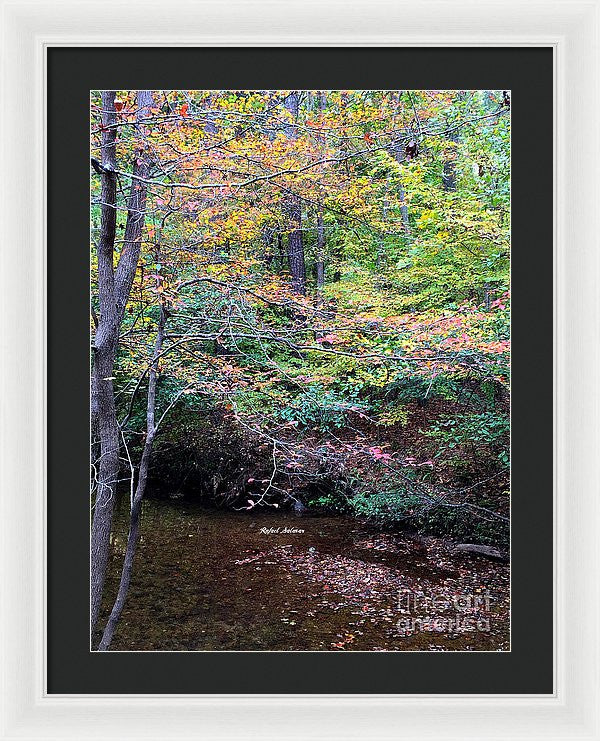 Framed Print - Dream Woods In Georgia