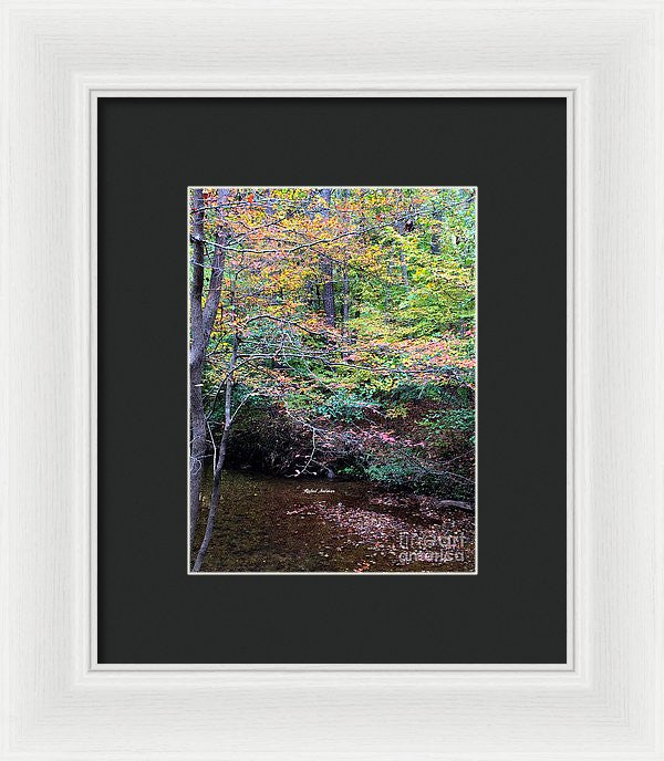 Framed Print - Dream Woods In Georgia