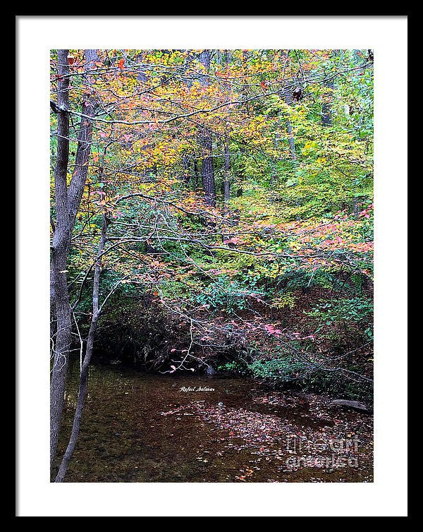 Framed Print - Dream Woods In Georgia