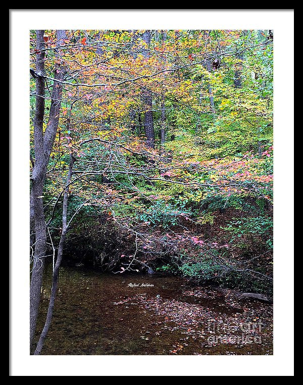 Framed Print - Dream Woods In Georgia