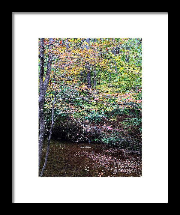 Framed Print - Dream Woods In Georgia