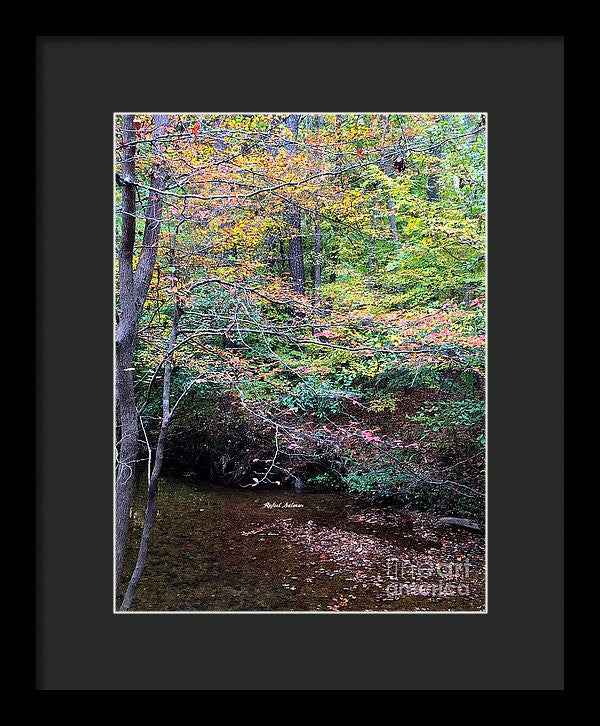 Framed Print - Dream Woods In Georgia