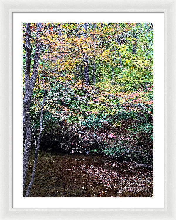 Framed Print - Dream Woods In Georgia