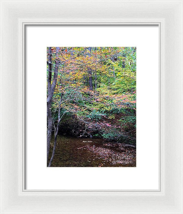 Framed Print - Dream Woods In Georgia