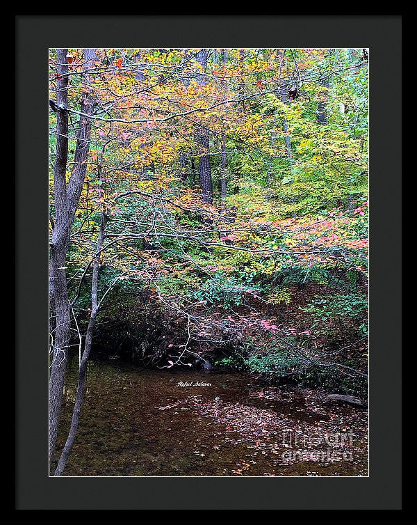 Framed Print - Dream Woods In Georgia