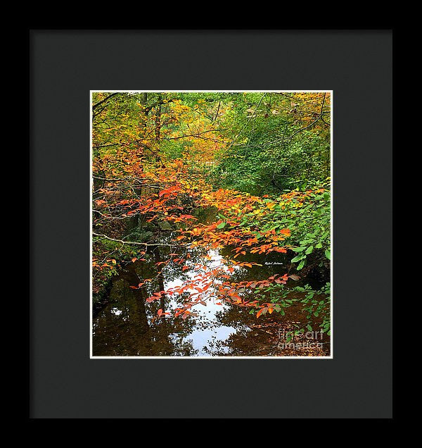 Framed Print - Fall Is In The Air