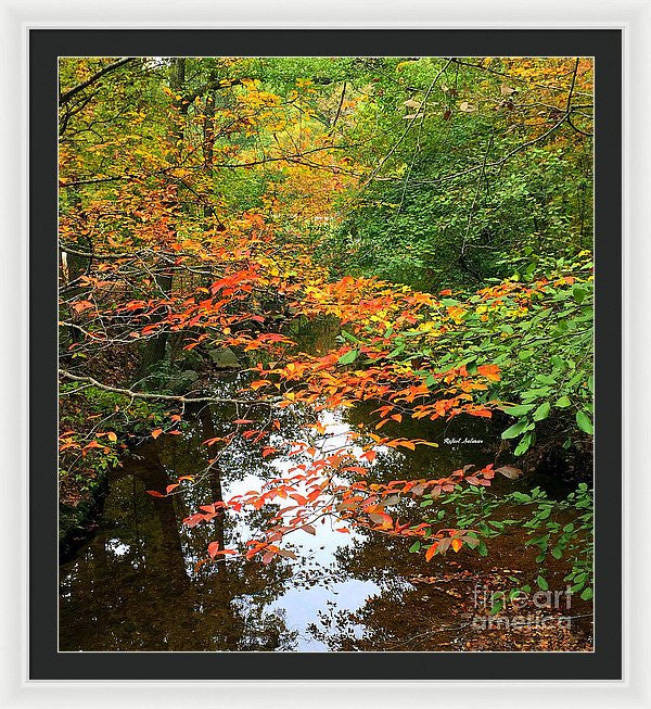 Framed Print - Fall Is In The Air