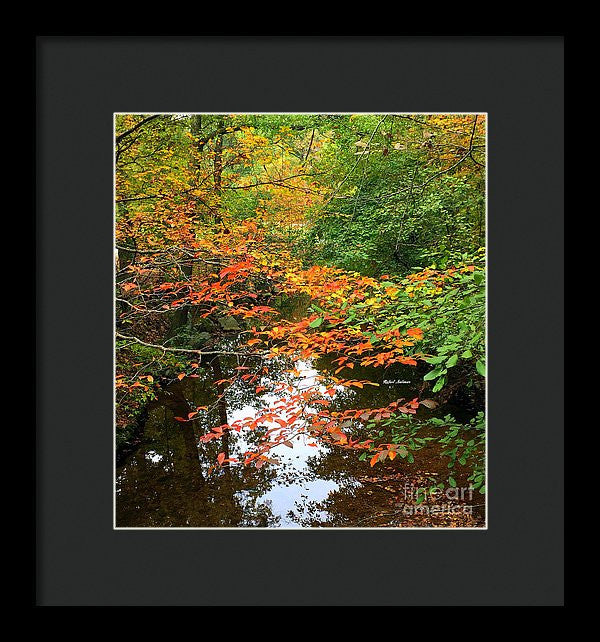 Framed Print - Fall Is In The Air