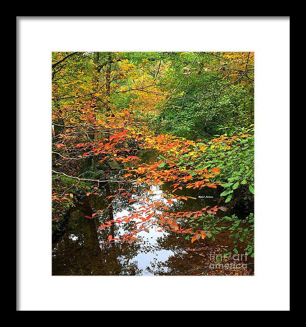 Framed Print - Fall Is In The Air