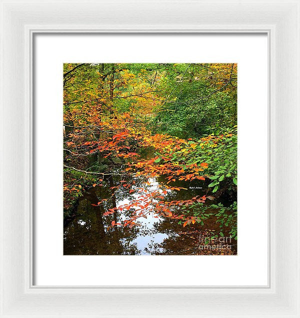 Framed Print - Fall Is In The Air