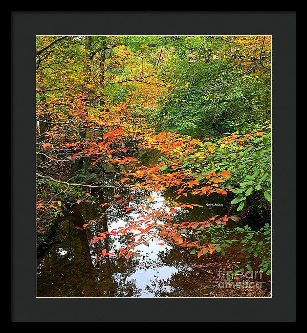 Framed Print - Fall Is In The Air