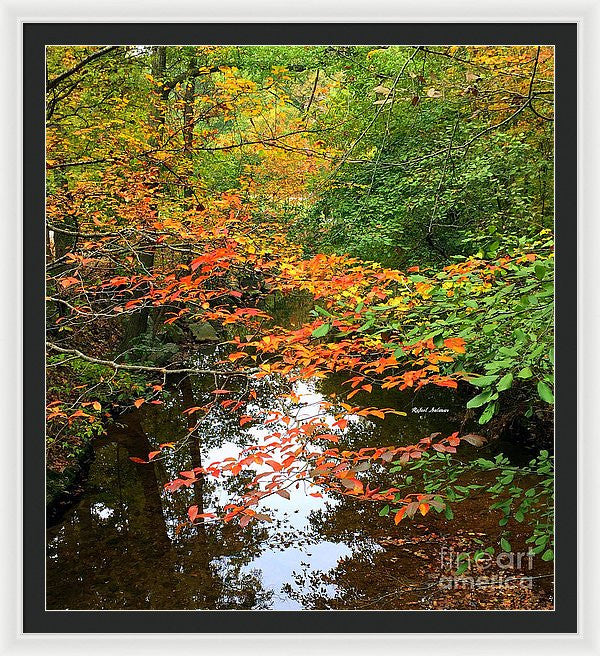 Framed Print - Fall Is In The Air