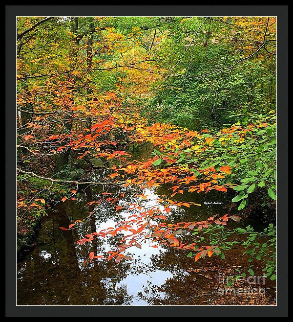 Framed Print - Fall Is In The Air