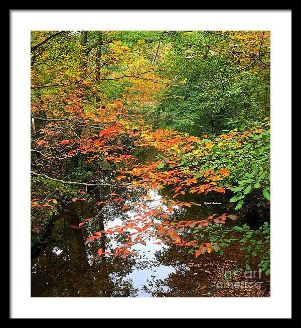 Framed Print - Fall Is In The Air