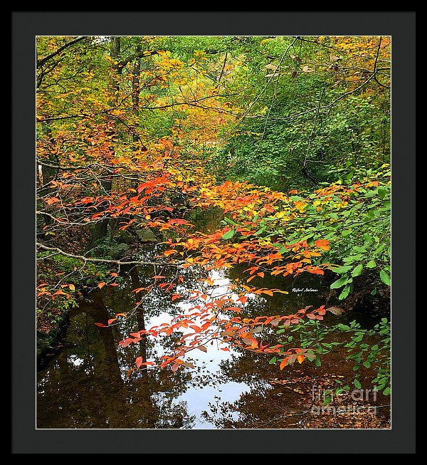 Framed Print - Fall Is In The Air