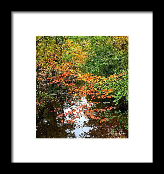 Framed Print - Fall Is In The Air