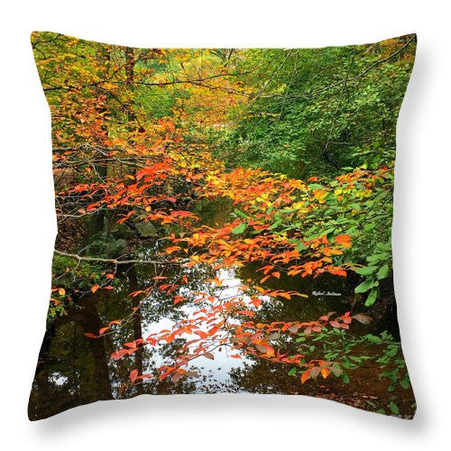 Throw Pillow - Fall Is In The Air