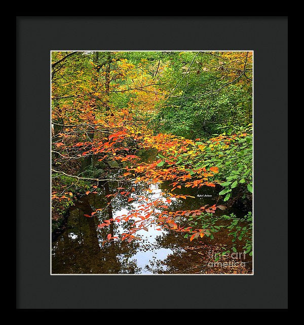 Framed Print - Fall Is In The Air