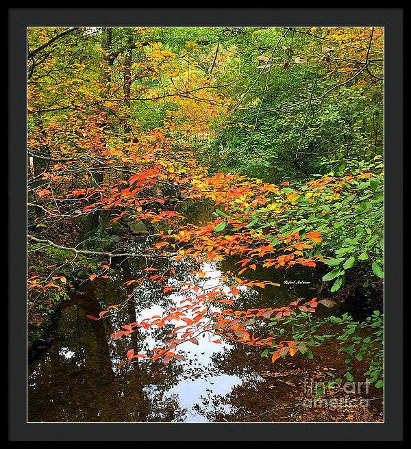 Framed Print - Fall Is In The Air