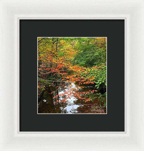 Framed Print - Fall Is In The Air