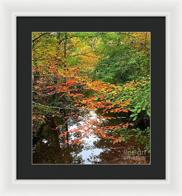 Framed Print - Fall Is In The Air