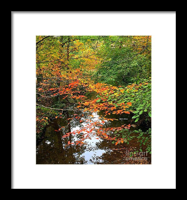 Framed Print - Fall Is In The Air