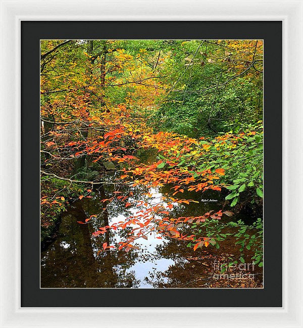 Framed Print - Fall Is In The Air